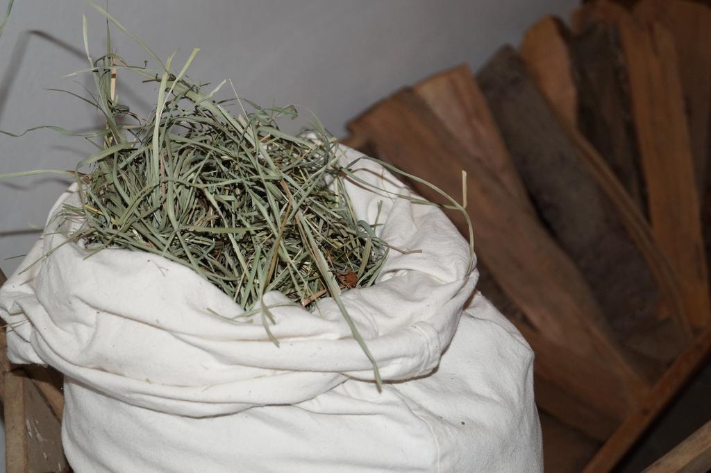 Hotel Zum Hasen Terento Zewnętrze zdjęcie